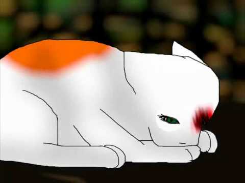 Brightheart Says amv