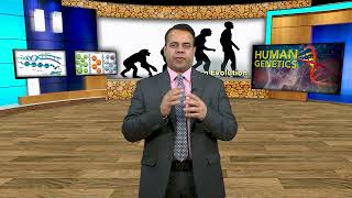 40 HUMAN EVOLUTION   EVIDENCE FORM mtDNA