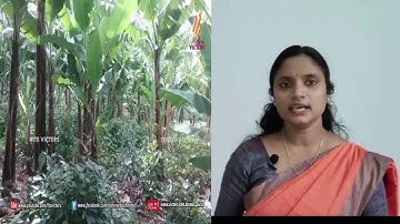 Std 7 Basic Science Unit 1 Class 06 White Board VI