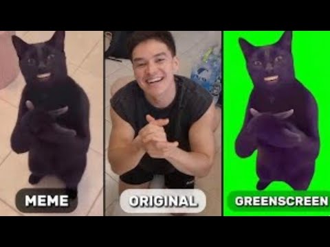 Clapping Cat Meme VS Original VS Reverse VS Green Screen 😂