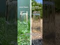 Überflutungsgefahr: Wie ausgetrocknete Böden auf Regen reagieren #shorts