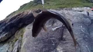 видео Рыбалка на Чёрном море с берега-как правильно и на что ловить на Чёрном море