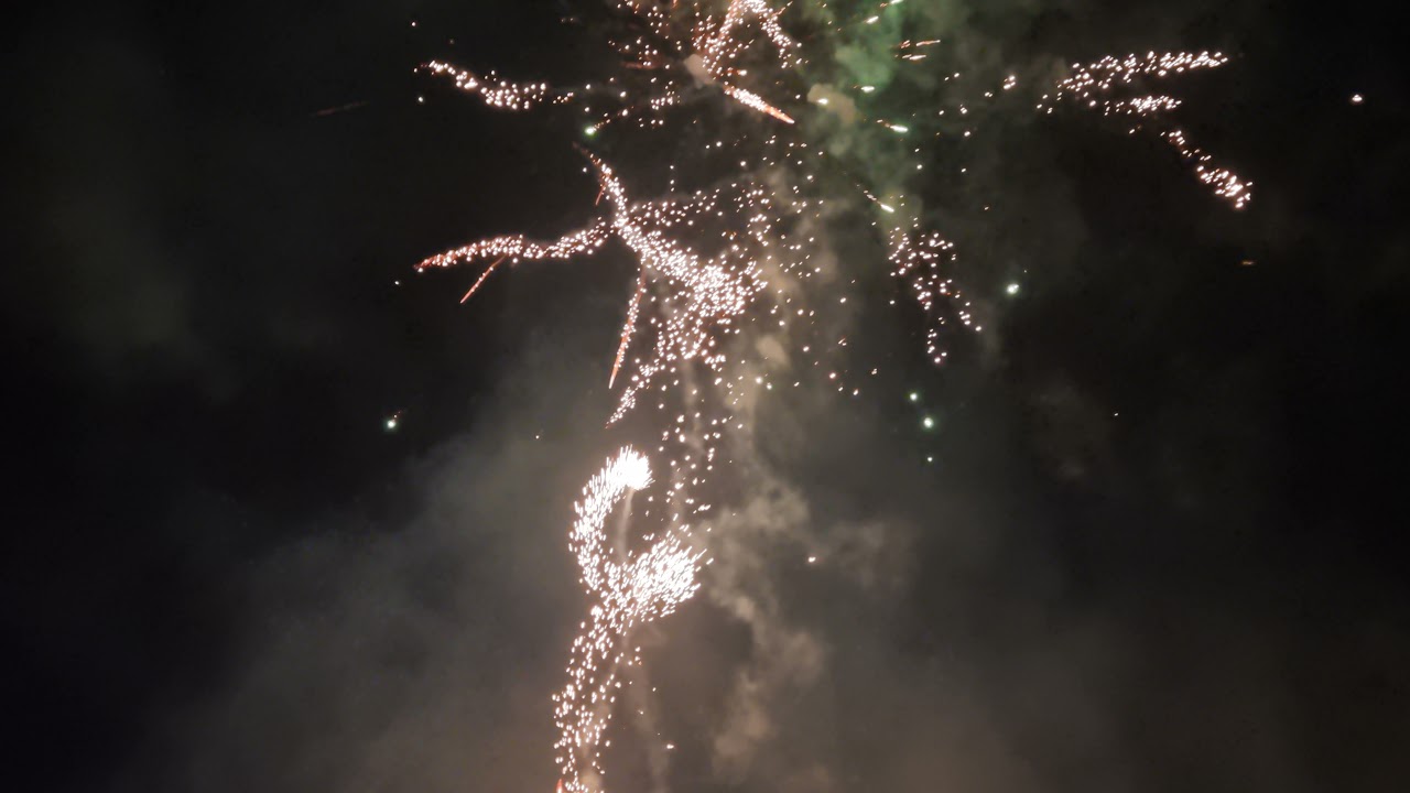 Triplex xb4109 200 shots