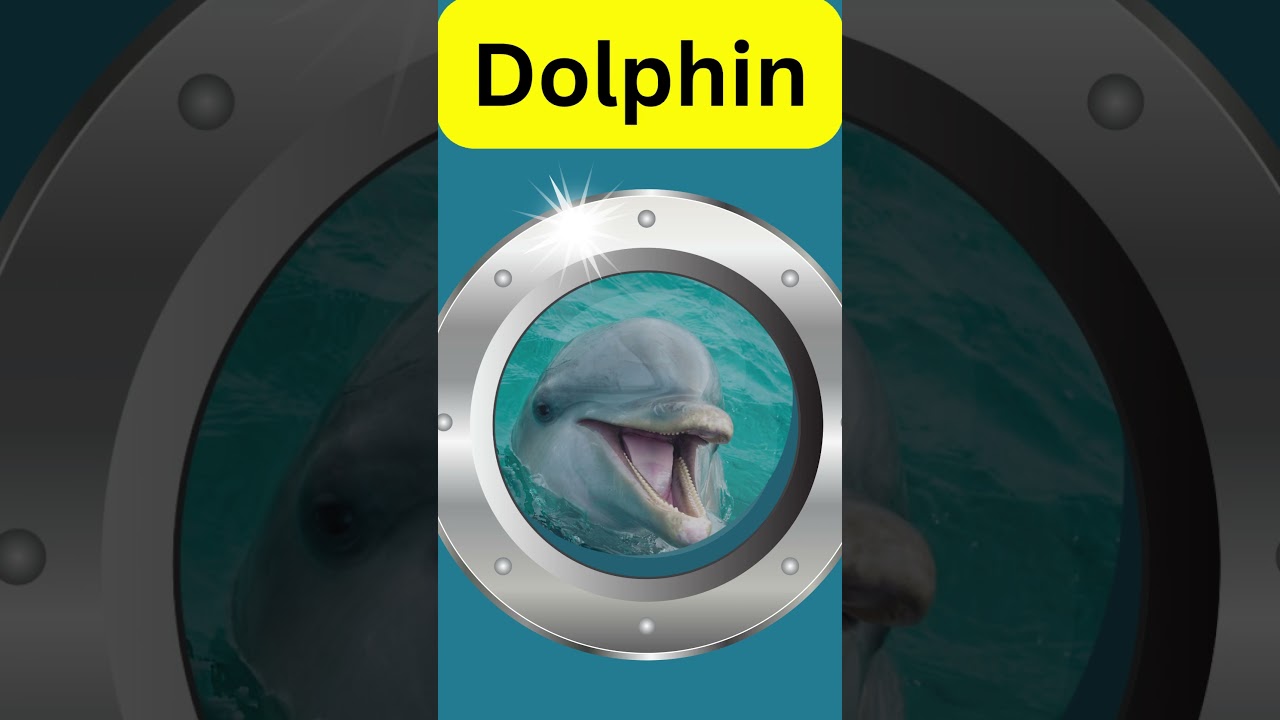 Ocean Explorer: Can You Guess These Amazing Sea Creatures? | Interactive Learning for Kids