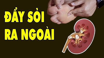 Bấm Huyệt Chữa Sỏi Thận - Sỏi Mật - Sỏi Bàng Quang Hiệu Quả Cực Kỳ | HYT3