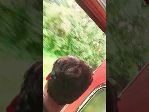 Safar tanha hanha.#vlog #trending #viral