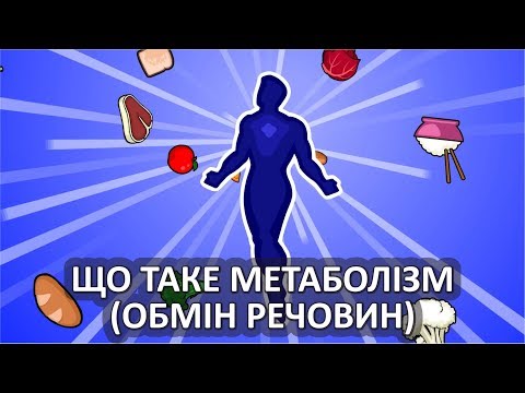 Видео: Що таке метаболізм [Stated Clearly]