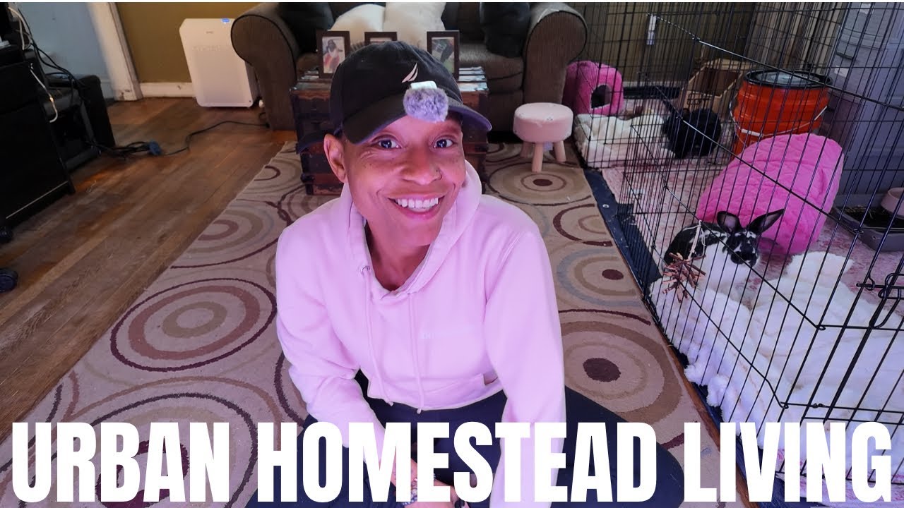 Raising Rabbits & Growing Food in My Living Room | Urban Homesteading Living | Honest Rabbit Update