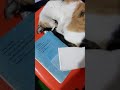 When you're studying for an exam