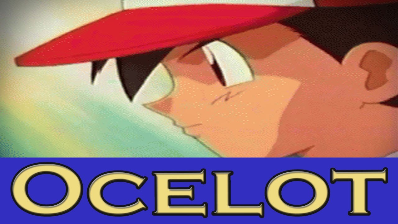 POKEMON THEME - German Cover by Ocelot