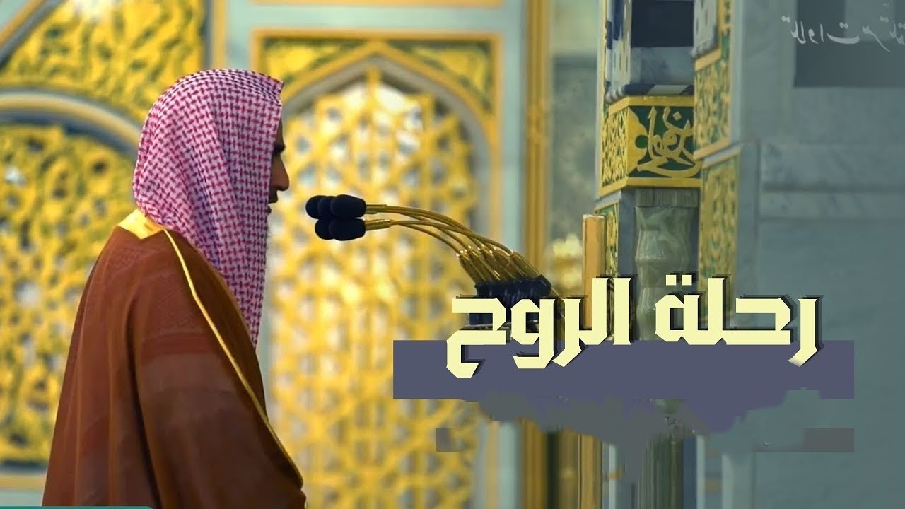 تلاوة تجمع السكينة و الهدوء للشيخ أحمد بن طالب حميد