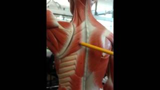 20151007 1048501