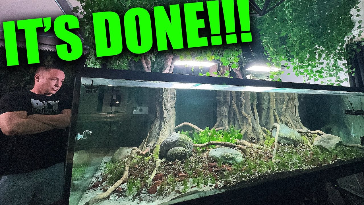 PLANTED the 700 gallon monster fish tank! the king of DIY aquarium iaplc