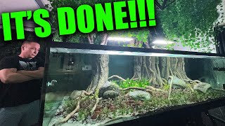 PLANTED the 700 gallon monster fish tank! the king of DIY aquarium iaplc