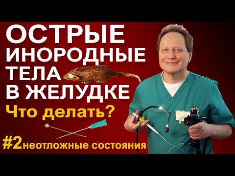 Что делать если кость не застряла в горле, острые инородные тела в желудке