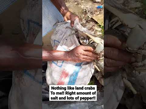 Nothing like land crabsTo me!! Right amount of salt and lots of pepper!! #jamaica #jamaicawalkby