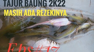 tajur ikan baung 2k22 eps 17 hasil tetap padu