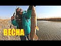 Таня ЖЖЁТ!!! ВЕСНА ЛОВЛЯ ЩУКИ СПИННИНГ  РЫБАЛКА  2019