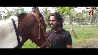 Magadheera horse scene ||KALYAN RACEGURRAM|| 4k