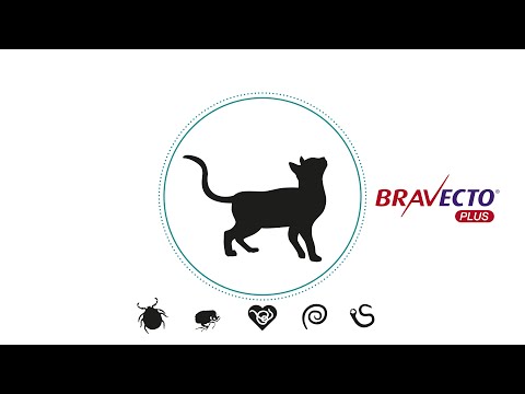 MSD Animal Health - Scalibor - LetiFend