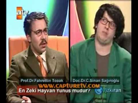 Video: En Zeki Hayvan Hangisidir