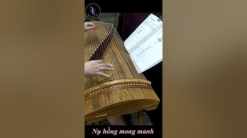 Nụ hồng mong manh | Guzheng | Cổ tranh TQ | ViTuong