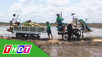 Nông dân Nguyễn Văn Khanh là "Nông dân Việt Nam xuất sắc" năm 2018