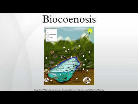 वीडियो: बायोकेनोसिस क्या है