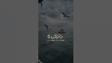ولقد خلقنا الإنسان ونعلم ما توسوس به نفسه ونحن أقرب إليه من حبل الوريد | سورة ق | القارئ اسلام صبحي