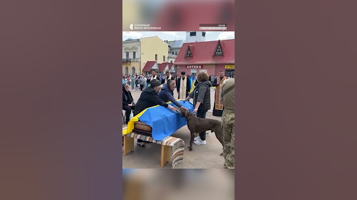 Пес Рем прощається зі своїм тренером і другом — військовим Сергієм Будзаном #війна #shortsyoutube