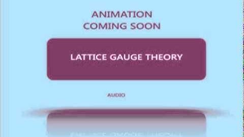 lattice gauge theory