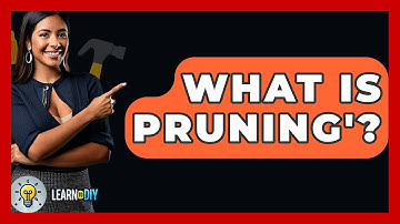 What Is Pruning
