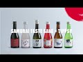 Japanese chef taste sake  tippsy  enjoy izakaya cuisine  and sake