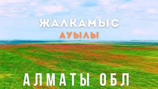 Жалкамыс ауылы /село Жалкамыс Алматы 2024