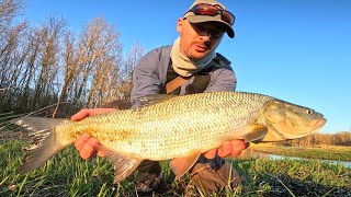 Fliegenfischen Mit Der Trout Spey Auf Döbel Und Rapfen