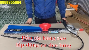 Đầu tỉa hàng rào, đầu hái chè lắp động cơ máy cắt cỏ đeo lưng