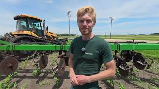 Side Dressing My High Yield Test Plot!