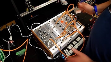 Analog Craftsman Large-Format Modules At SynthPlex 2019