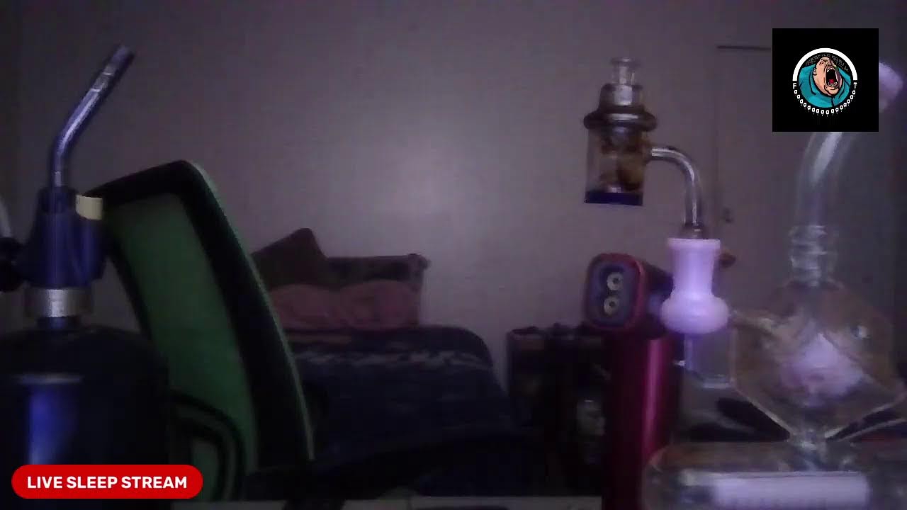 TUESDAY NIGHT SLEEP STREAM 11/06/2023  FOLLOW MEE FOR FREE