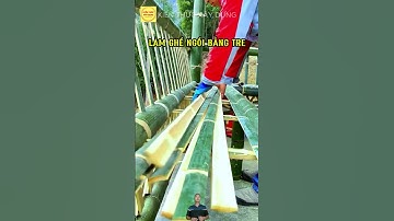 làm ghế ngồi bằng tre