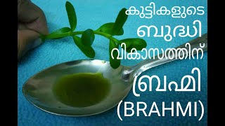 Brahmi for improving memory power Resimi