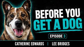 Thinking of Getting a Dog? Watch This First. | CatherineEdwards.life