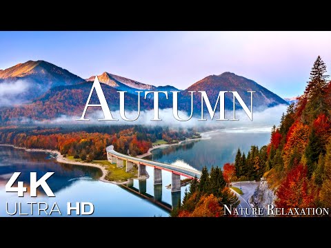 Enchanting Autumn Forests with Beautiful Piano Music