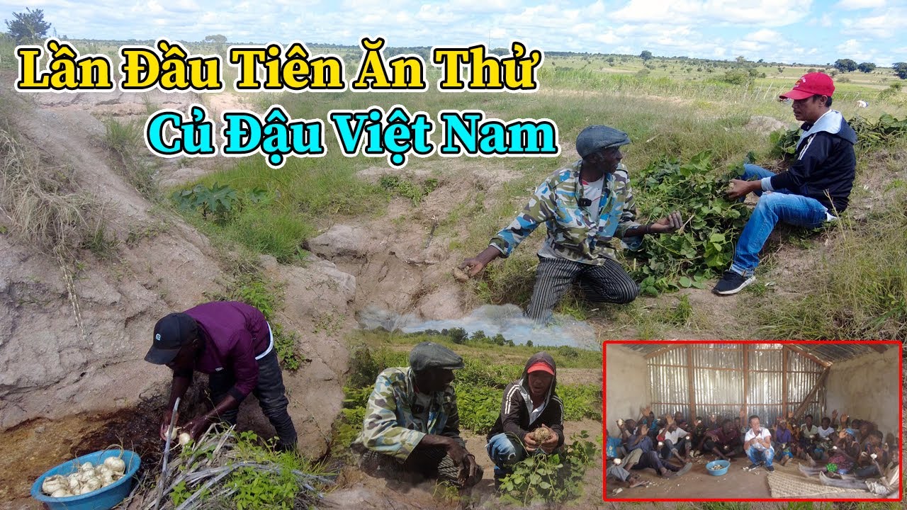 Công Giáp || Người Dân 4 Bản Lần Đầu Biết Đến Củ Đậu Việt Nam Phản Ứng Sẽ NTN ???