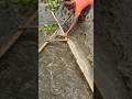 Amazing Village Fishing Technique with Push Net in Low Water #shorts