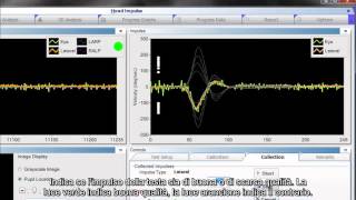 ICS Impulse Training Italiano