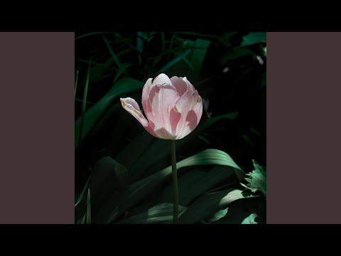 개화 (Frowering) (gaehwa)