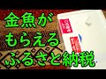 金魚がもらえる【ふるさと納税】