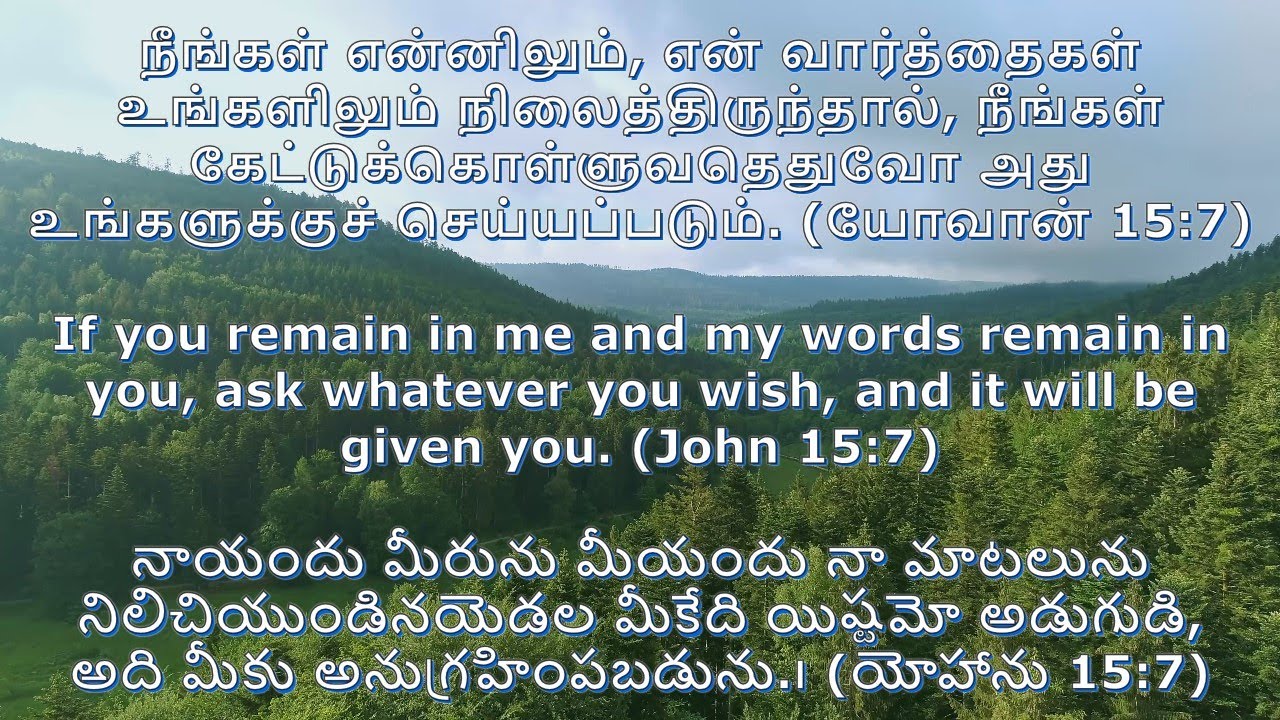 22-6-2021|Word of Life|Daily Bible verse in Tamil|English|Telugu ...