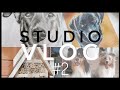 STUDIO VLOG #2 - Zeichnen mit Bleistift in Echtzeit und was sonst noch so los ist bei uns